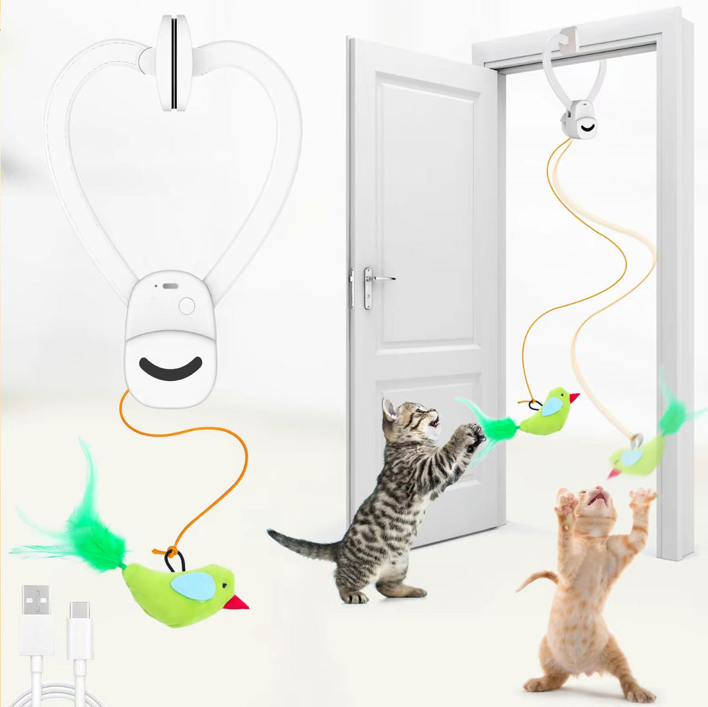 Interactive Cat Toy